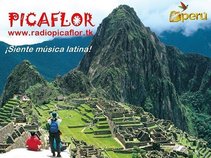 Radio Picaflor Peru