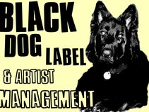 Black Dog Label and Artist Management