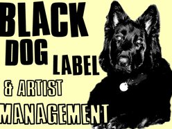 Black Dog Label and Artist Management