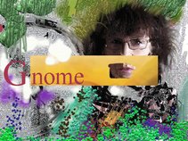 GnomeFest (promo network)