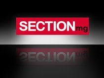 SECTIONmg