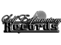 Self-Explanatory Records