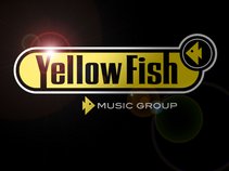 Yellow Fish Music Group