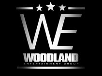 The Woodland Entertainment Group Inc