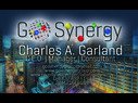 GO Synergy
