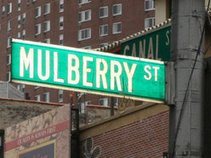 Mulberry St. Productions