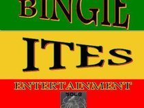 Bingie Ites Ent Inc