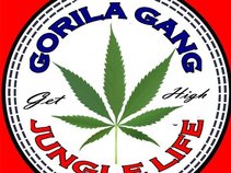 Gorila Gang Ent