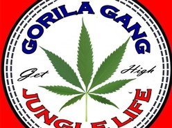 Gorila Gang Ent