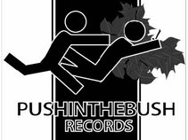 Push In The Bush Records
