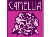 Camellia Sessions