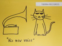 Tierra Records