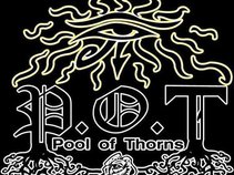 Pool of Thorns