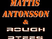 Mattis Antonsson