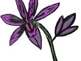 The grass orchids logo