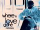 Toto Chiavetta - Where Is Love Gone (Remixes)