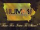 Iowa Urban Music Movement (IUMM)