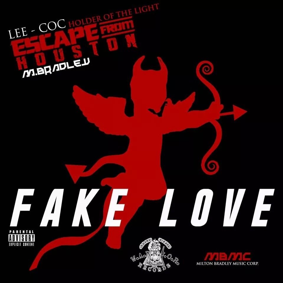 Fake Love by Lee-Coc "Holder of The Light"