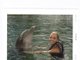 me and a dolphin