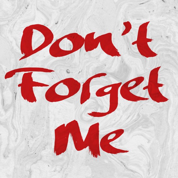 Don T Forget Me By Jonas Vesterberg Reverbnation