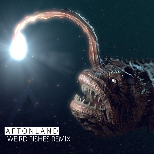 Aftonland - Weird Fishes Remix by Aftonland