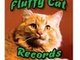 Our Chairman of the Board:  Fluff Catt
