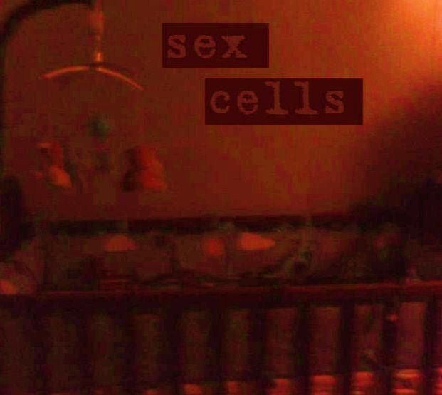 Sex cells 1297234858