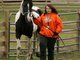 Monica and Dalilah(the horse) love TRIVIUM!!!