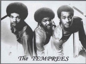 Image result for the temprees