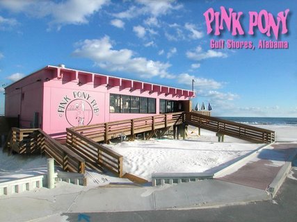Pink Pony Pub - World Famous Beach Bar | Gulf Shores, AL | Shows,  Schedules, and Directions | ReverbNation