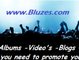 1 of bluzes banners
