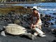 in hawaii with the sea turtles :D 