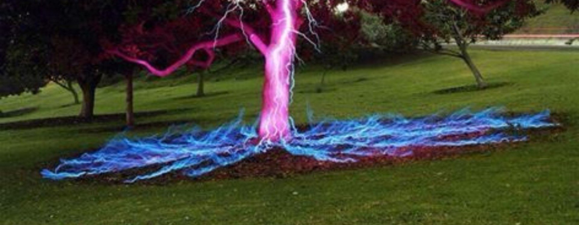 Lightning tree copy