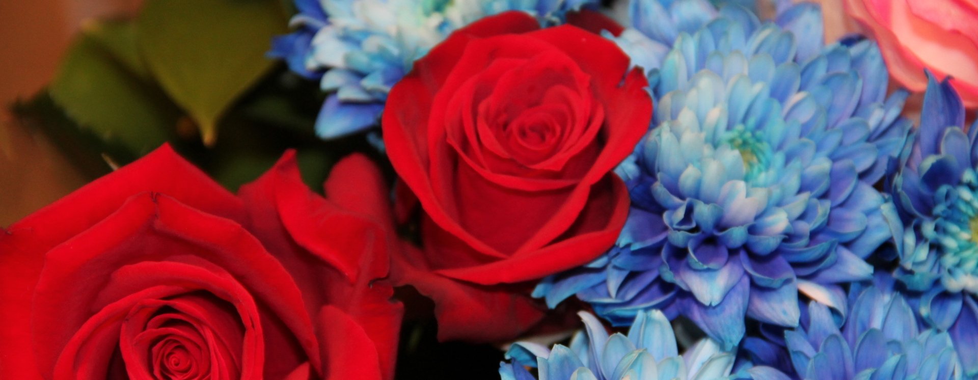 Roses et fleurs bleues copy