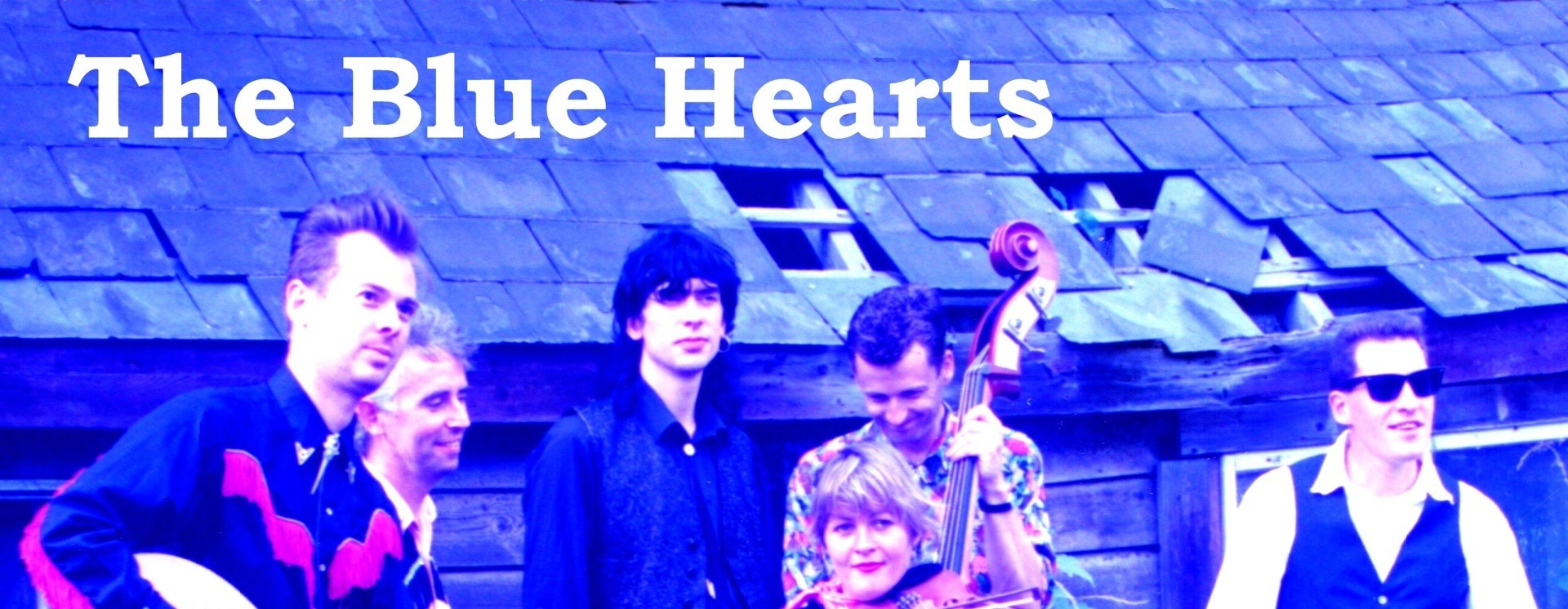 激安☆超特価 THE BLUE HEARTS on TV D… ecousarecycling.com