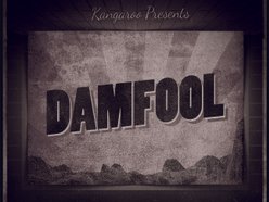 Image for DAMFOOL