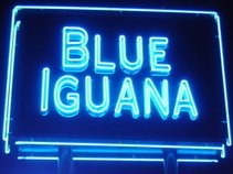 THE BLUE IGUANA