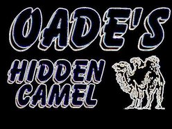 Oade's Hidden Camel