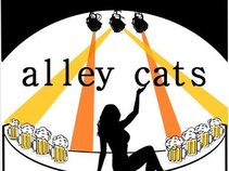 Alley Cats Unplugged