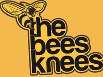 The Bees Knees | Accrington