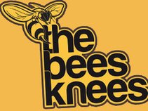 The Bees Knees | Burnley