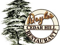 Doyle's Cedar Hill Restaurant and Tiki Bar