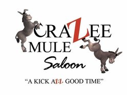 crazee mule saloon