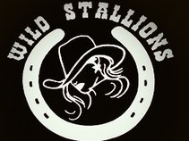 Wild Stallions