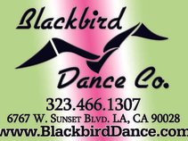 Blackbird Dance Co Theatre