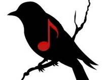 Blackbird Music Minneapolis