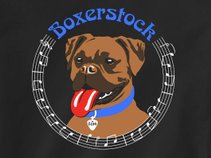Boxerstock Music Festival
