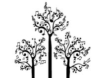Tall Trees Concert Series