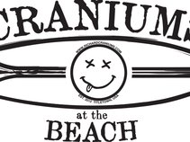 Craniums at the Beach
