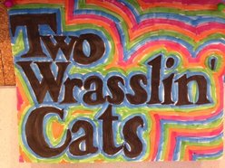 Two Wrasslin Cats